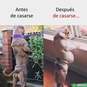 Meet your Posher, Rojas